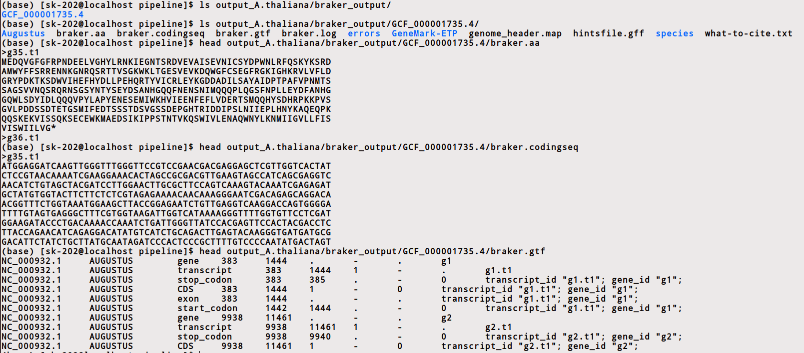 Eukaryotic Annotation Outputs