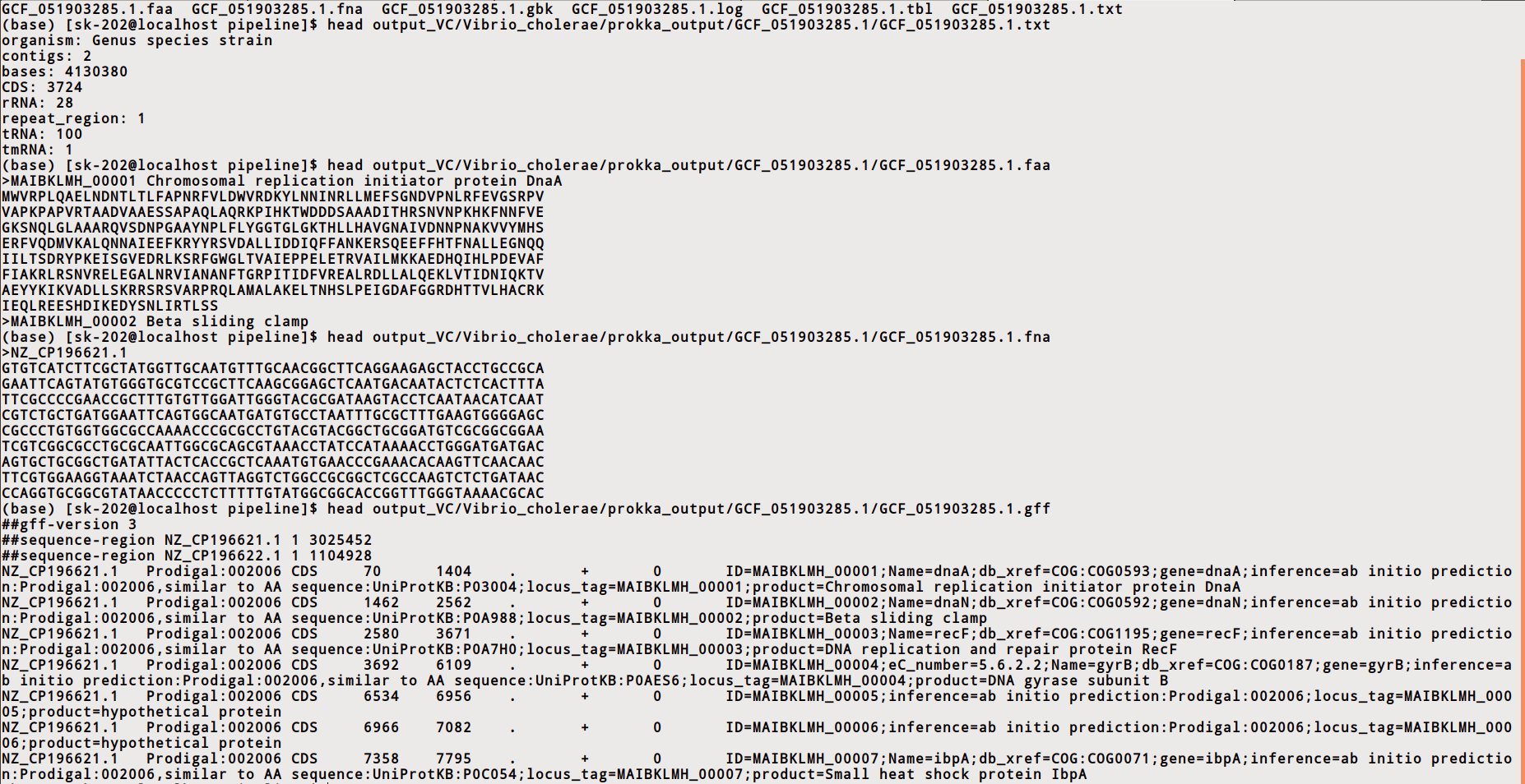 Prokaryotic Annotation Outputs