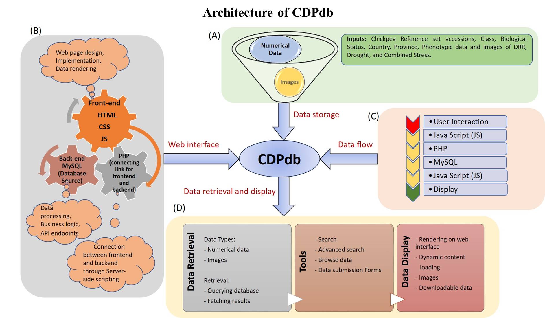 Architecture of CDPdb