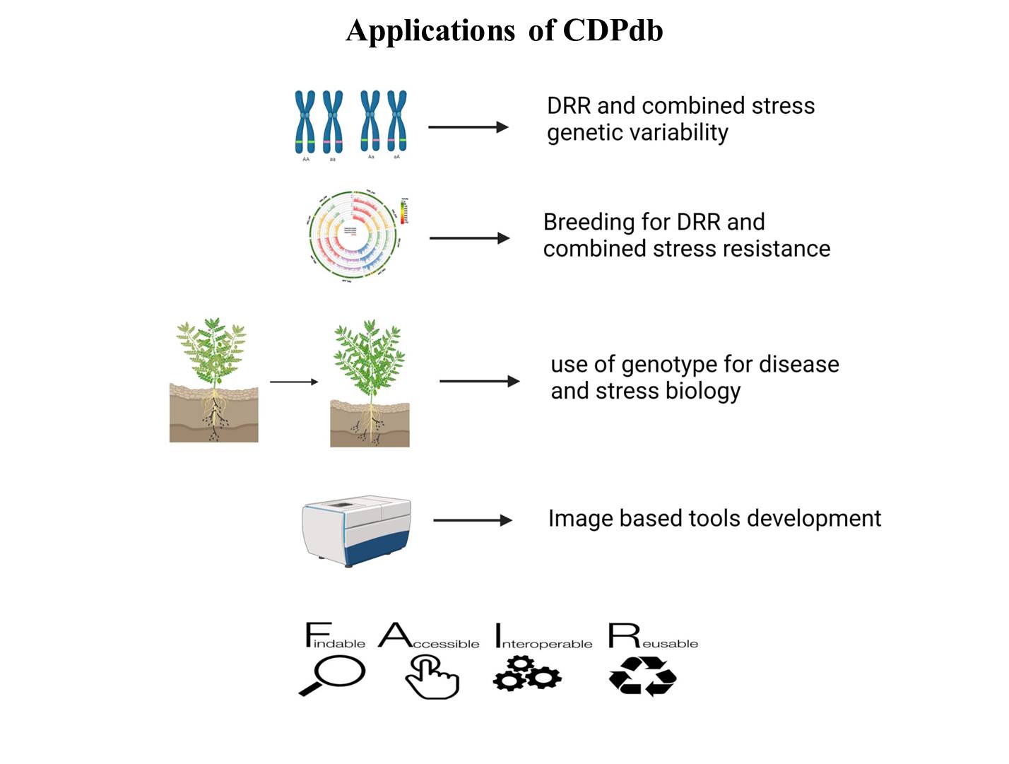 Applications of CDPdb
