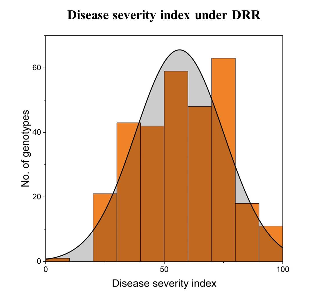 Disease severity index under DRR