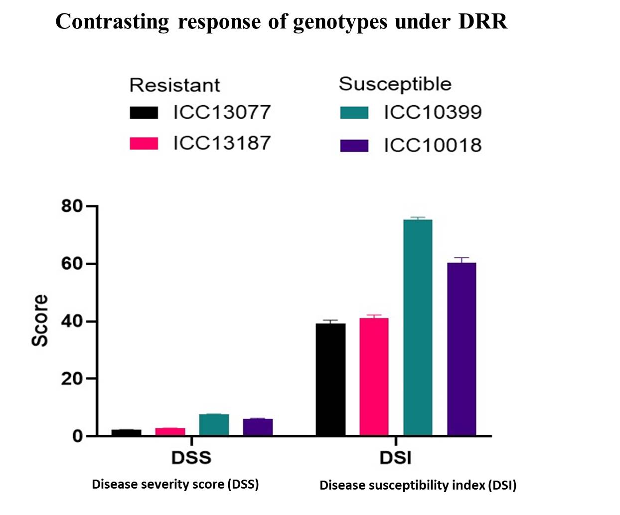 Contrasting response of genotypes under DRR